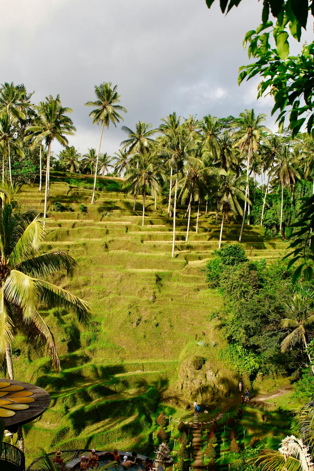 Lush Tegallalang rice terraces in Ubud, Bali Indonesia