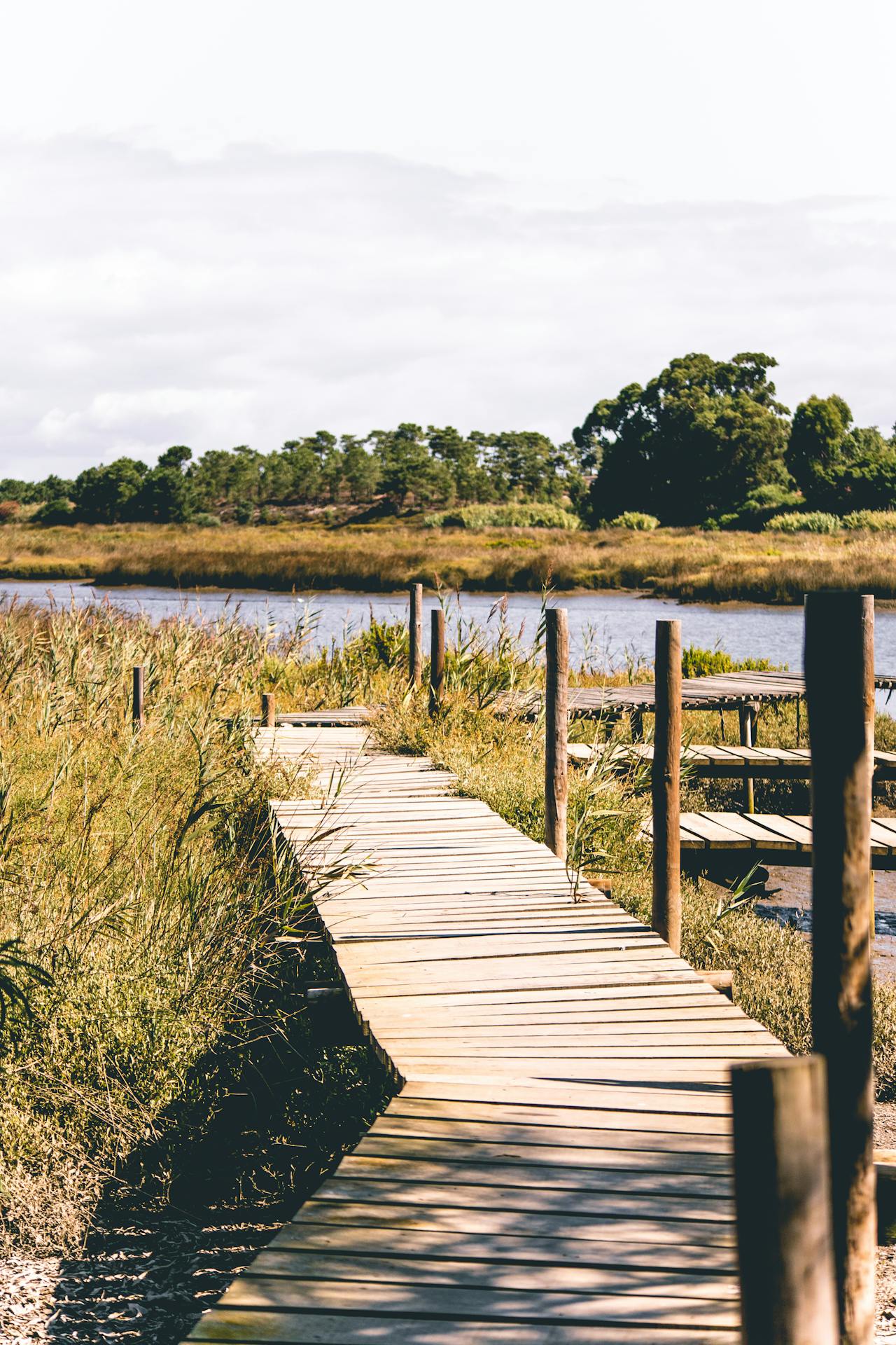 Iconic wooden pathway through the rice fields and wetlands of Comporta, Portugal