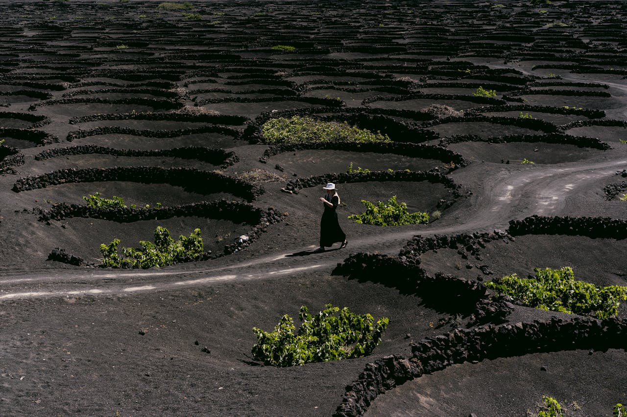 Woman walking through volcanic vineyards in Lanzarote — La Geria wine region and vernacular stone walls