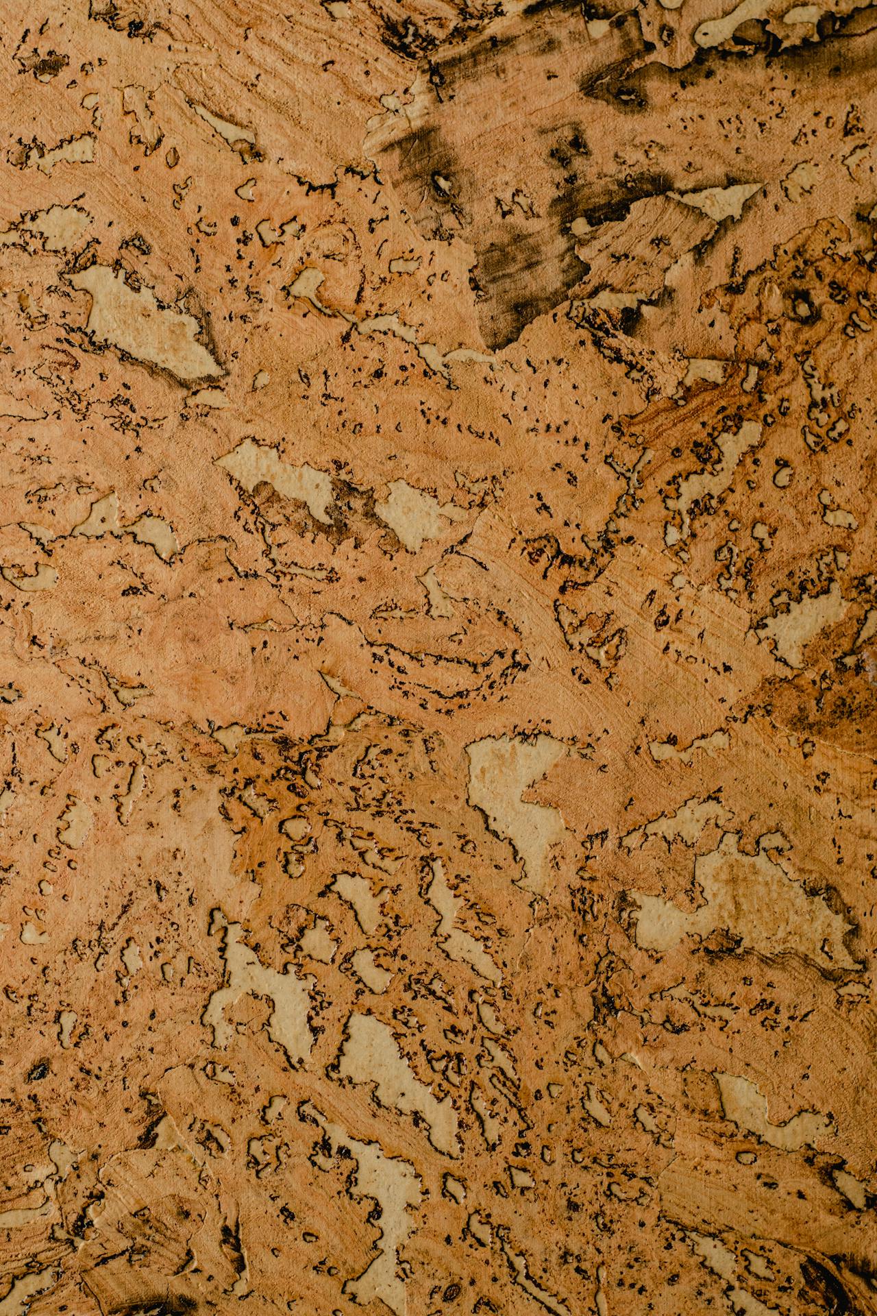 Natural cork texture — sustainable vernacular material for thermal insulation