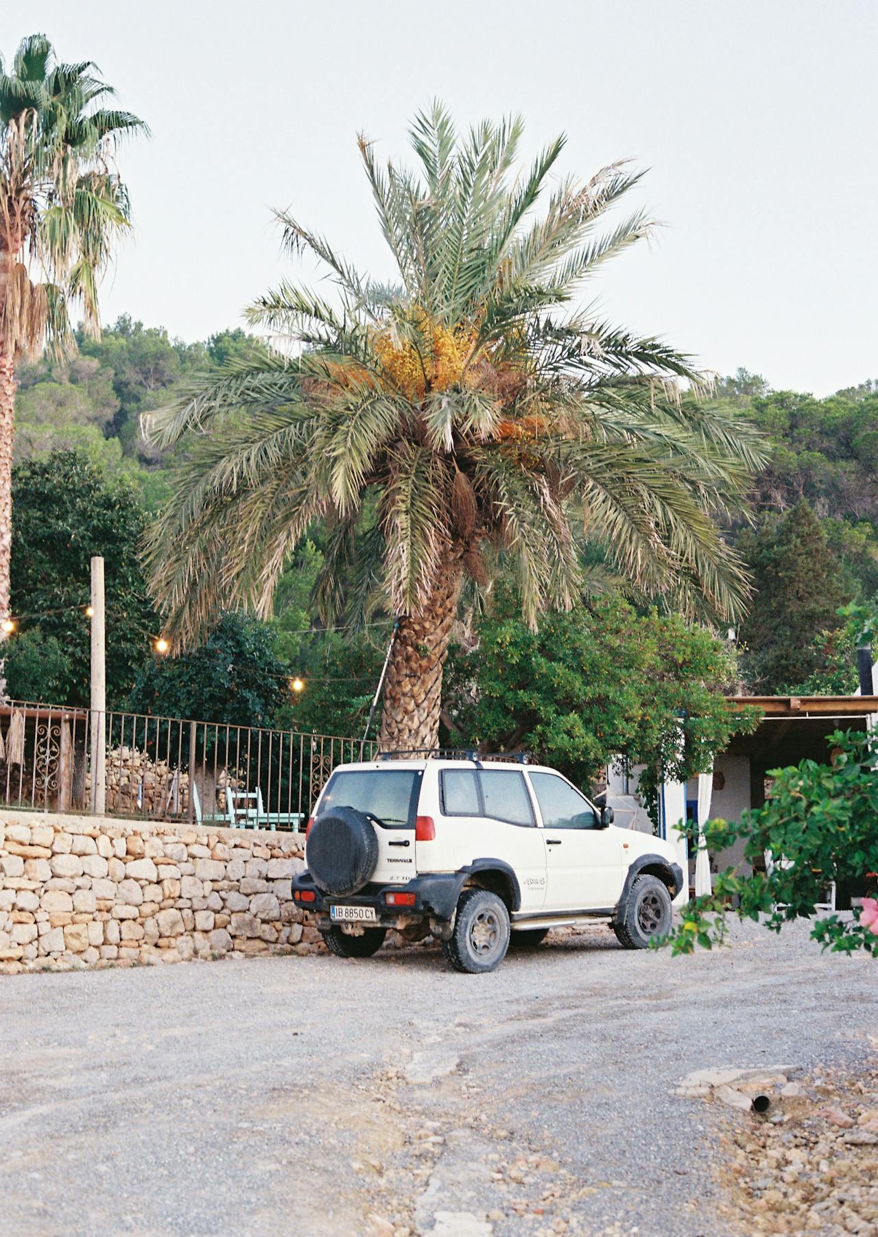 Paisaje rústico de Ibiza — finca payesa integrada en la naturaleza mediterránea